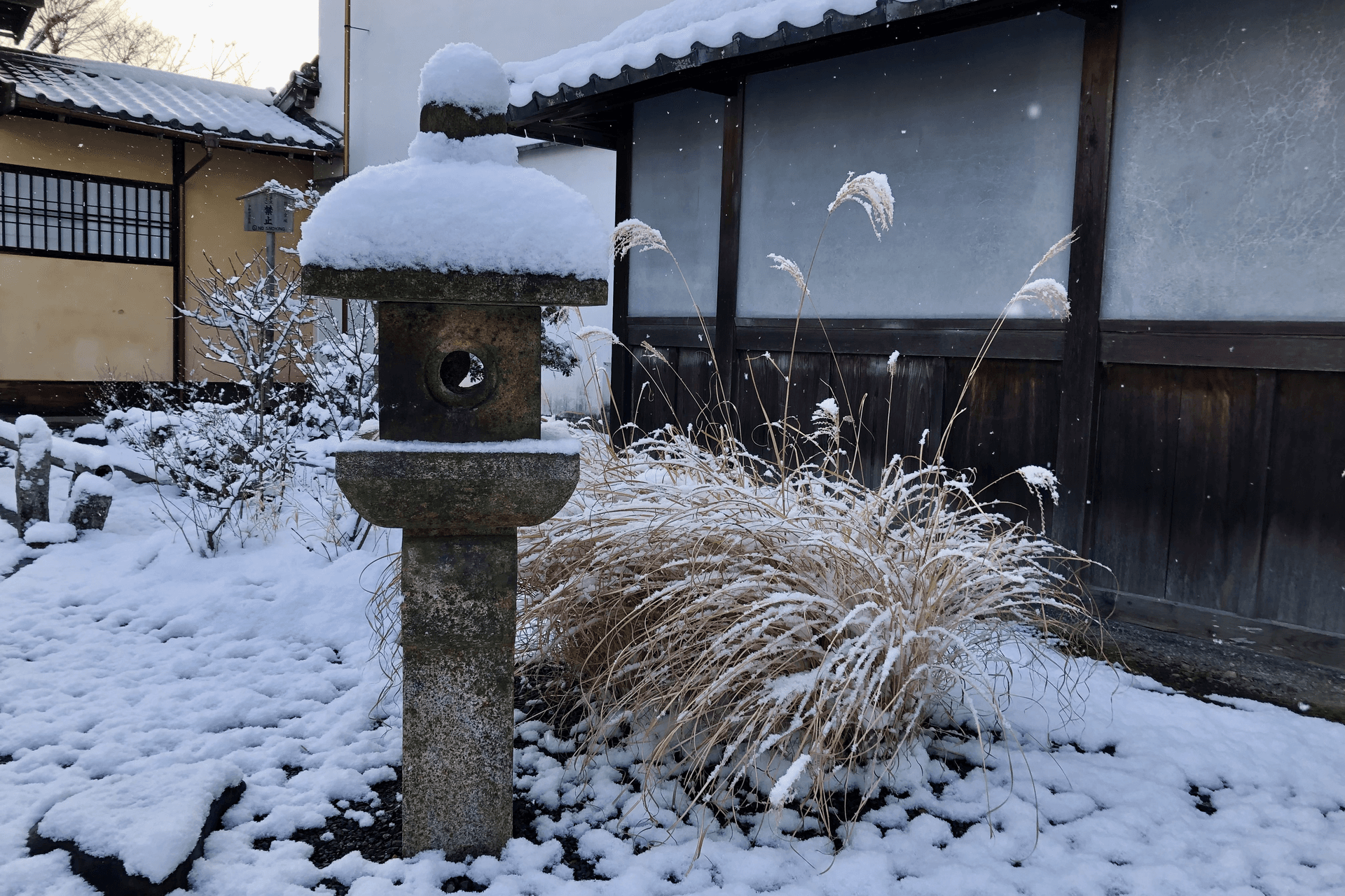 雪景