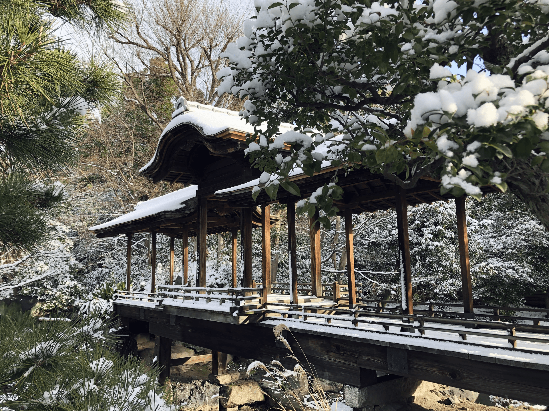 橋
