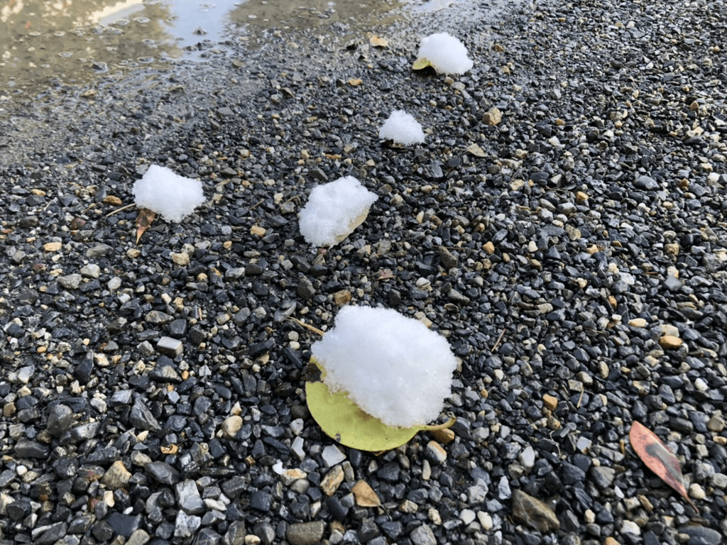 石與落葉與雪